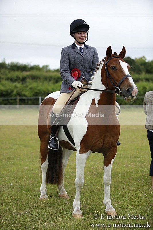 BVR160717-77 - Ring 1 BVRC Show 16/07/17