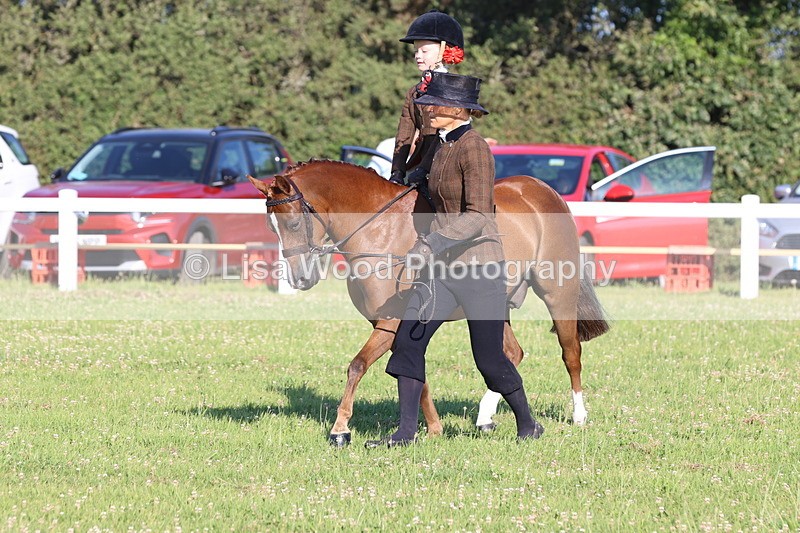 JPP_0792 - Class 16: Cornish Combination Leading Rein