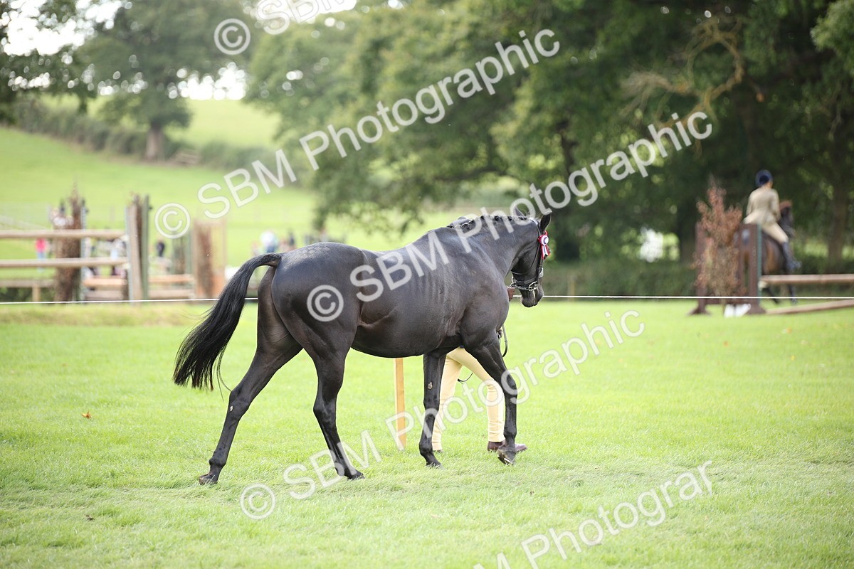 SBM_44363 - S24 - Young Veteran in hand