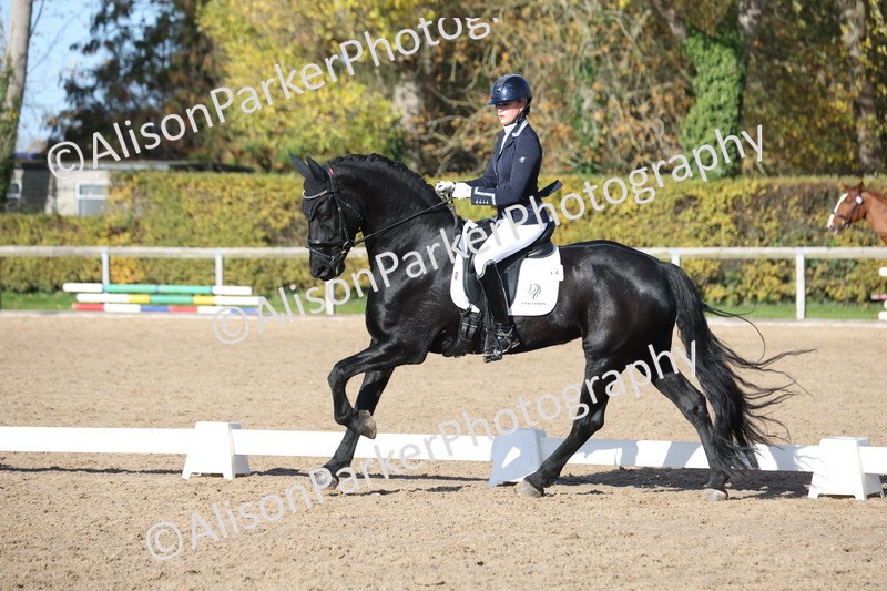 20251102-0633 - Class 4 - Novice 6