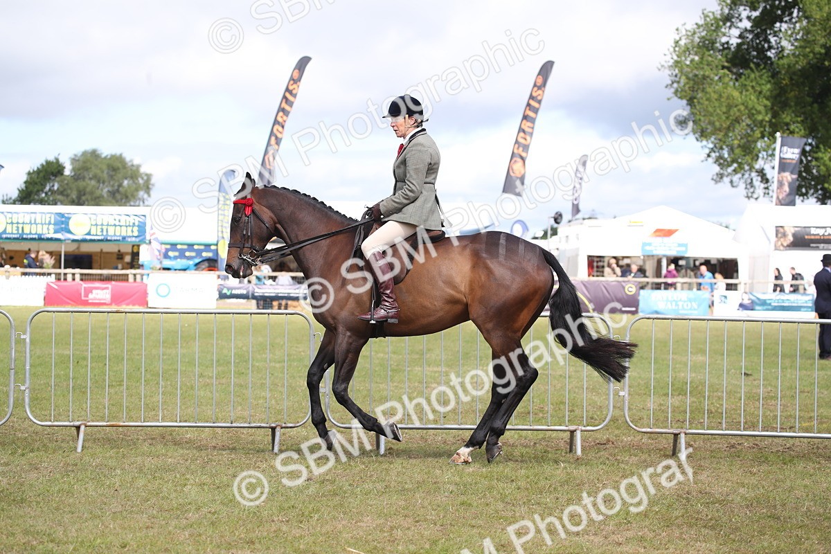 SBM_13243 - Class 95-96 - LIHS BSHA Rising Star Hack Riding Horse
