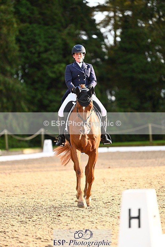 231021-161210-21050 - 264-BEST.ENDEAVOUR-Freddie.Taylor-DR