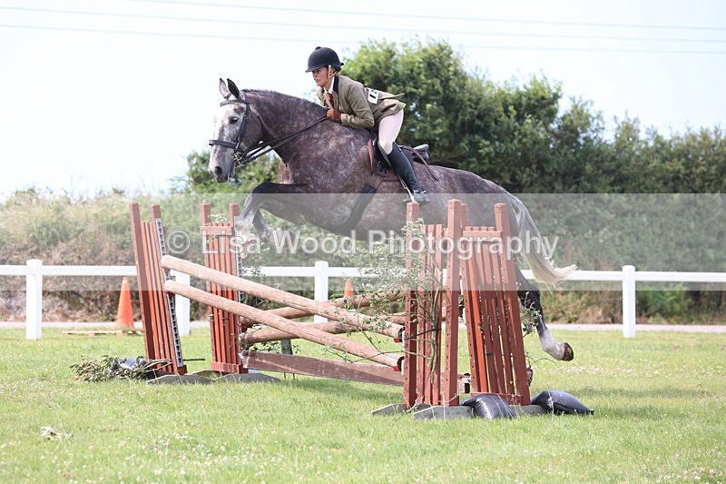 JPP_4090 - Class 24: Working Hunter 90cm