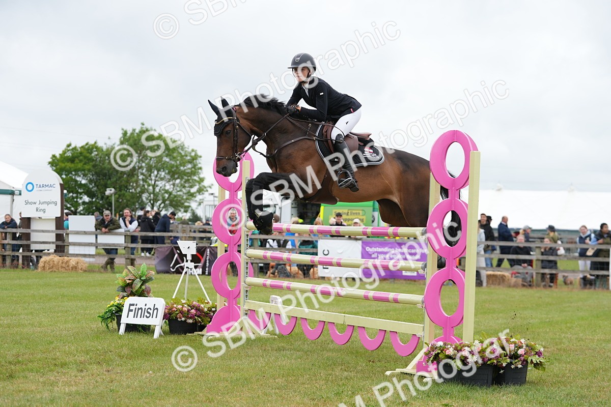 SBM_05199 - Class 201 - British Horse Feeds Speedi Beet Horse of the Year Show Grade  C