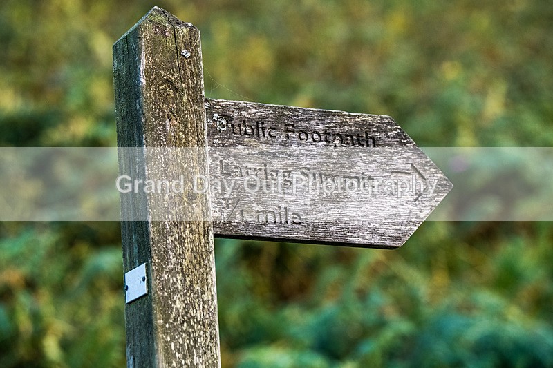 Not Latrigg-968 - Not Round Latrigg Fell Race Wednesday 13th August 2025