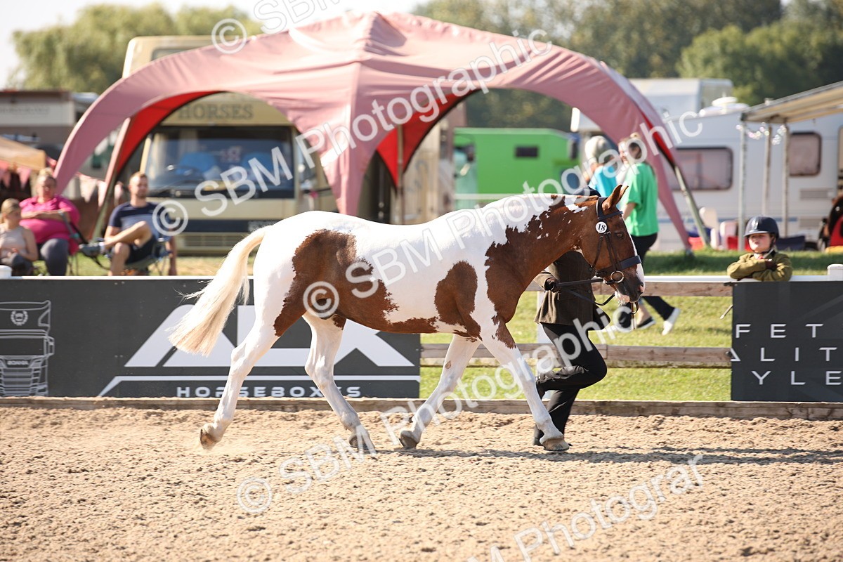 SBM_01456 - Class 15 IH Coloured