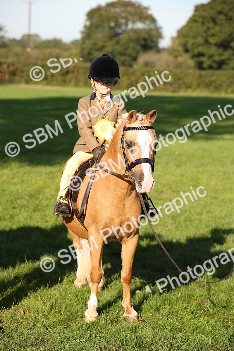 SBM_34268 - S9 - Lead Rein Equitation