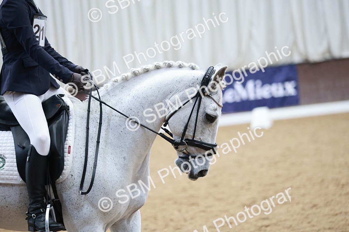 SBM_003825 - Class 2 - Novice 2020