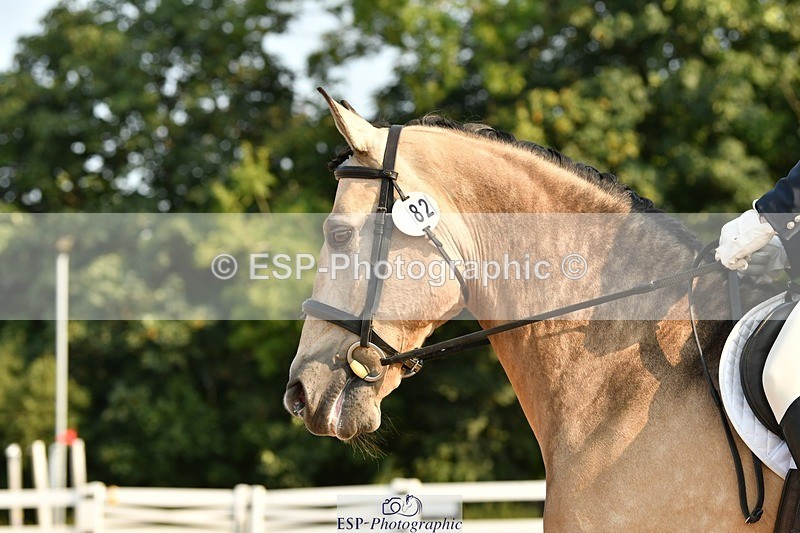 250817-092156-06880 - 082-Sarah.DavisWinston.Classic.Gold