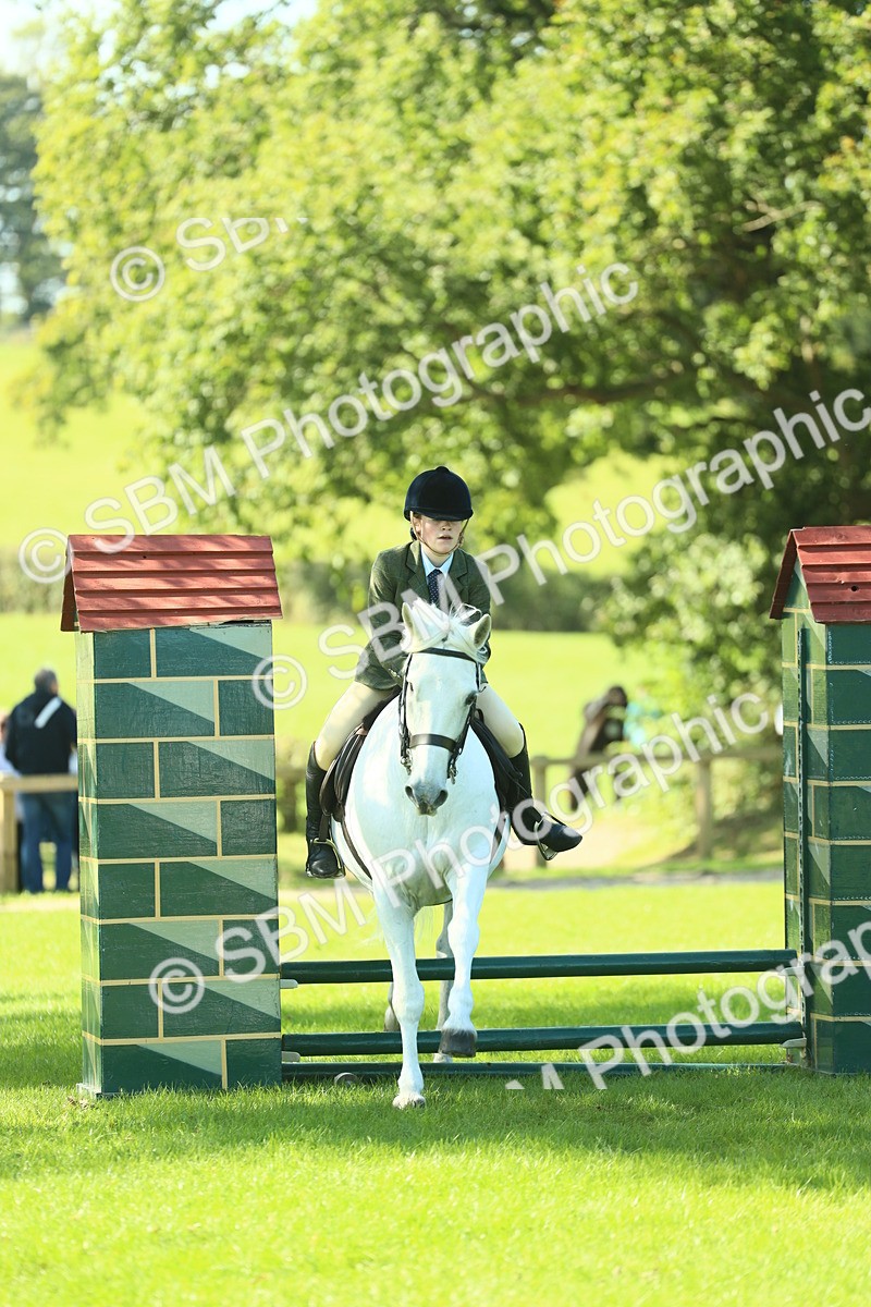 SBM_39186 - S29 - Novice & Newcomers Working Hunter Pony