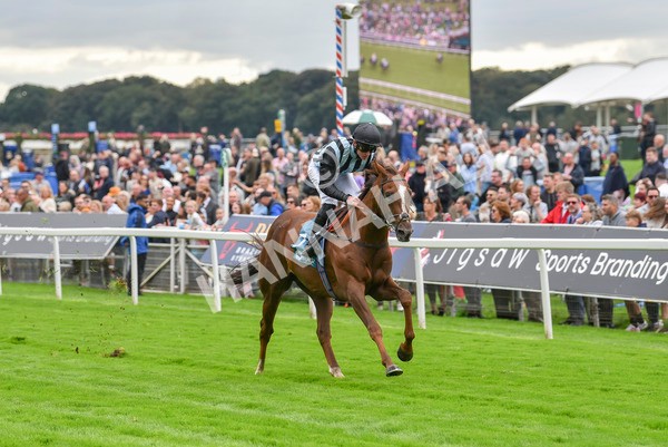 230923-Race 2-Palamon-6047 - Race 2 2.35pm jigsawsportsbranding.co.uk Handicap