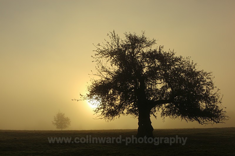 Misty Sunrise    ref 9079 - County Durham