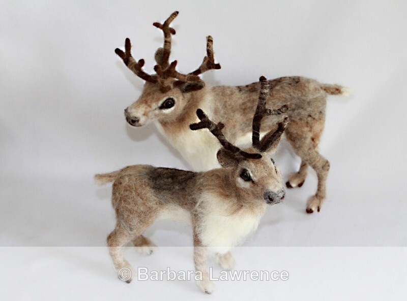 Reindeer - Gallery