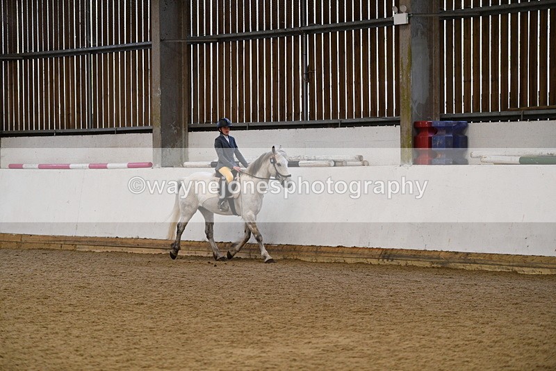 WJ5_7708 - Class 13 Ridden Part Breed