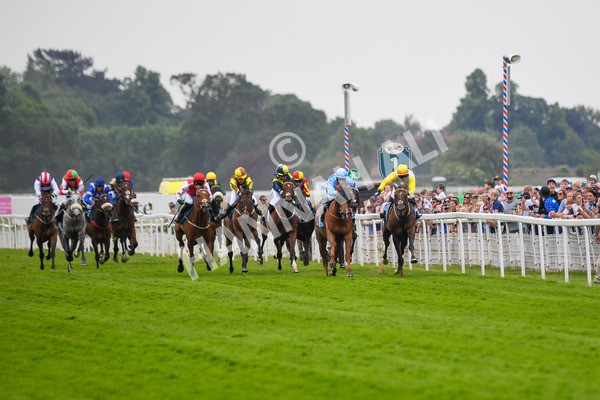 170623-Race 1-Kihavah-0197 - Race 1 2.00pm Queen Mother's Cup Handicap