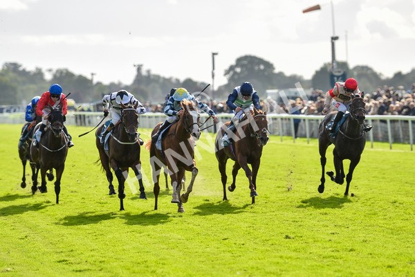 141023-Race 2-Whiskey Pete-0761 - Race 2 1.50pm Play Coral 'Racing-Super-Series' For Free Nursery Handicap