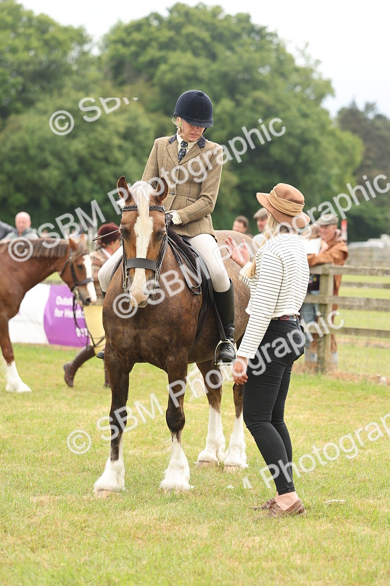 SBM_07222 - Class 76-77 - Ridden M&M Welsh Ponies