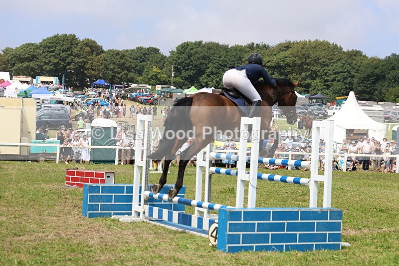 3E7A3439 - Class 10: Senior Foxhunter/1.20 open