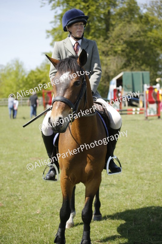 20250427-2372 - Class 13 - Novice Jumping 60cm