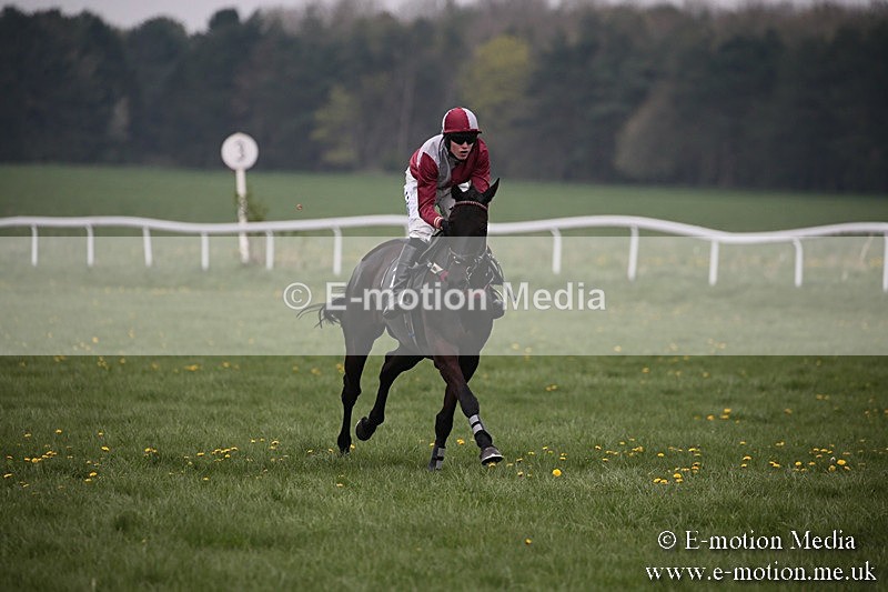 PtP 210418 67 - South & West Wilts Point-to-Point Larkhill 21/04/18