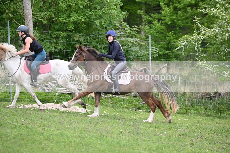 WJ6_3401 - A camera