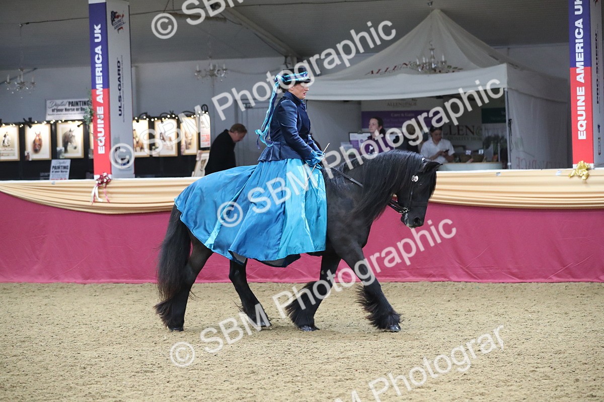 SBM_12113 - Class 107 Ridden Costume- Astride Adult (20+)