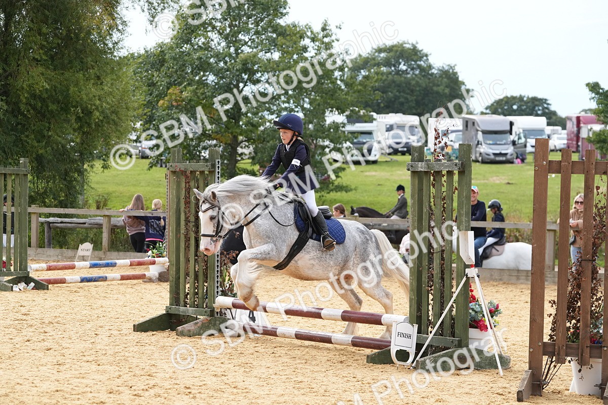 SBM_70571 - J3 - Mini Tour Junior Pony 40cm Championship