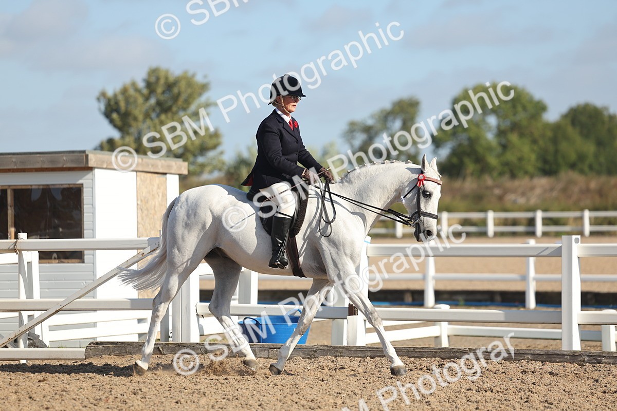 SBM_22294 - Class 803 - Ridden Combination 65+