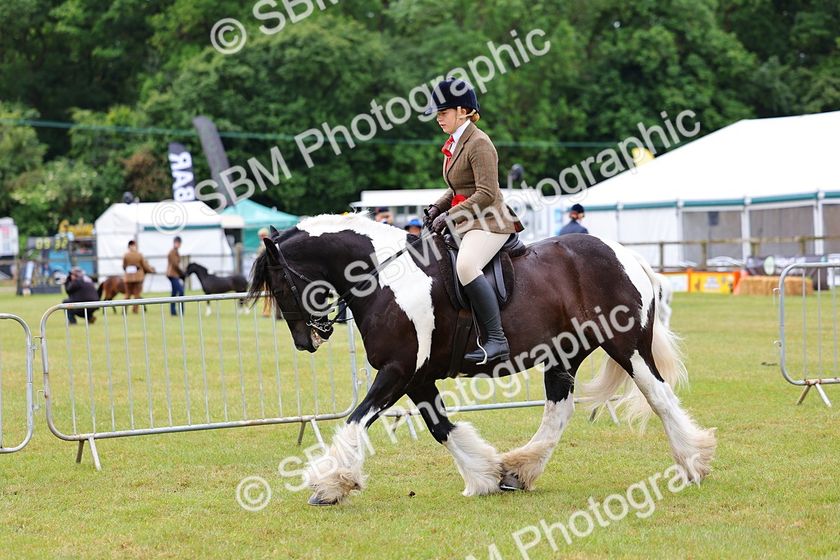SBM_02657 - Class 9-11 Side Saddle including LIHS Rising Star Ladies Show Horse