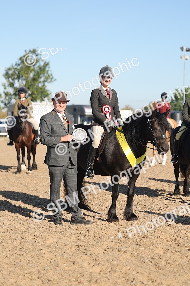 SBM_11104 - Class 302 - Ridden M&M Large Breeds