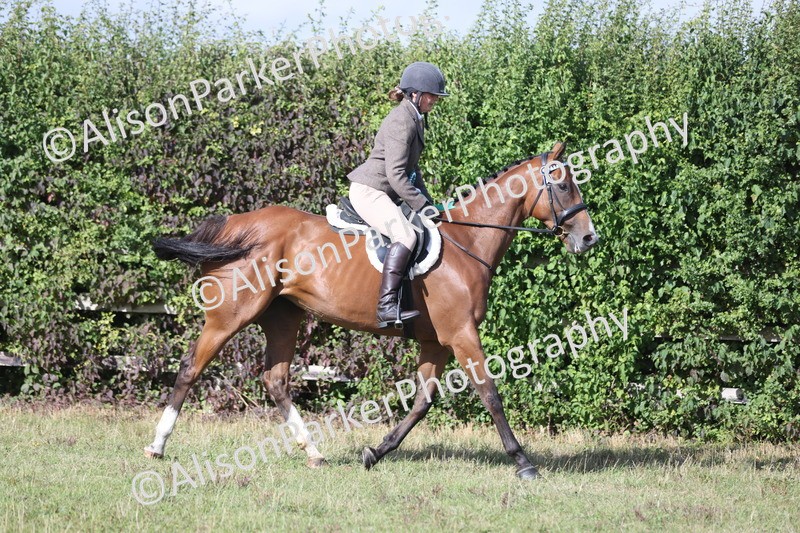 20250831-0958 - Class 14 - Ex Racehorse