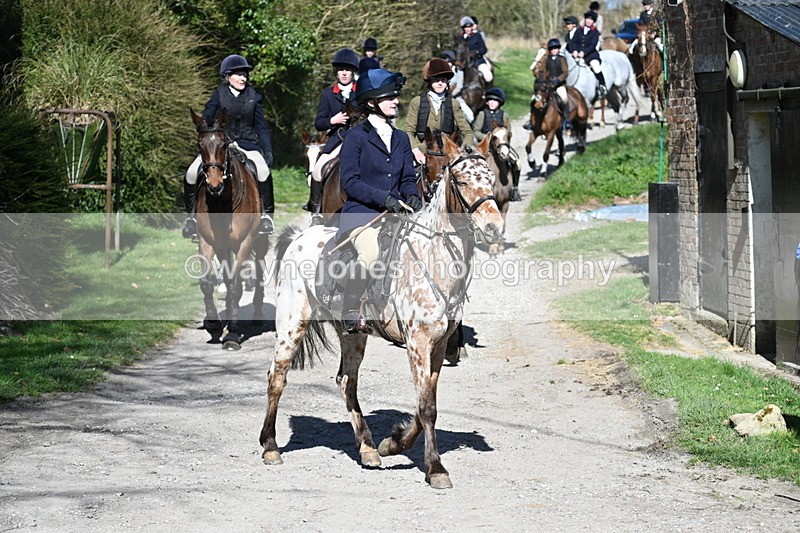 WJ7_9722 - Home for hunt tea !