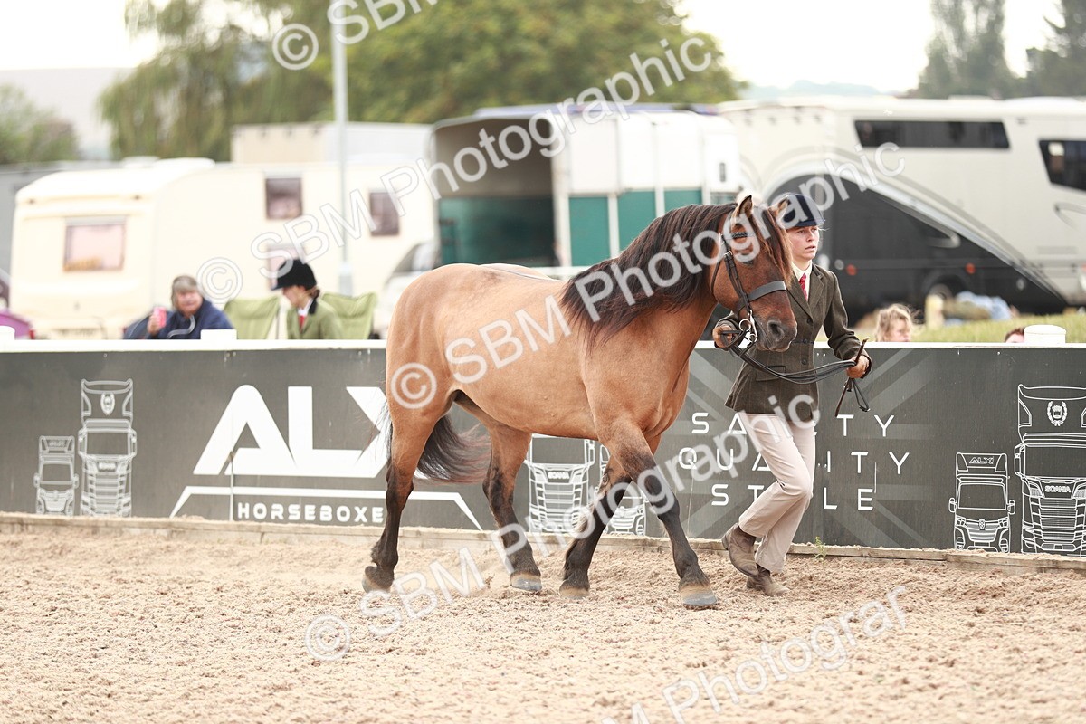 SBM_12457 - Class 207 IH M&M