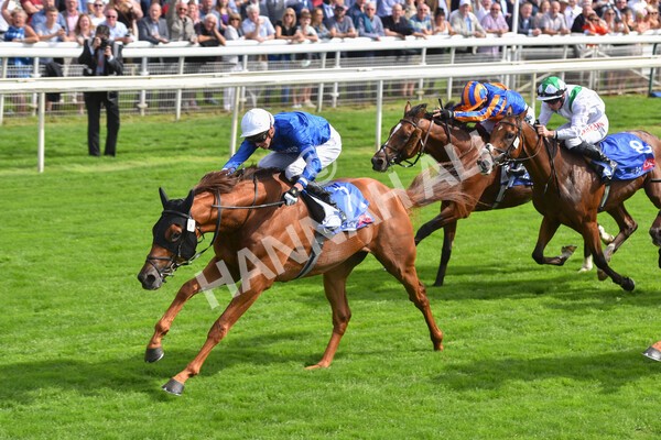 yr18082021r3-77 - Race 3 3.00pm Sky Bet Great Voltigeur Stakes