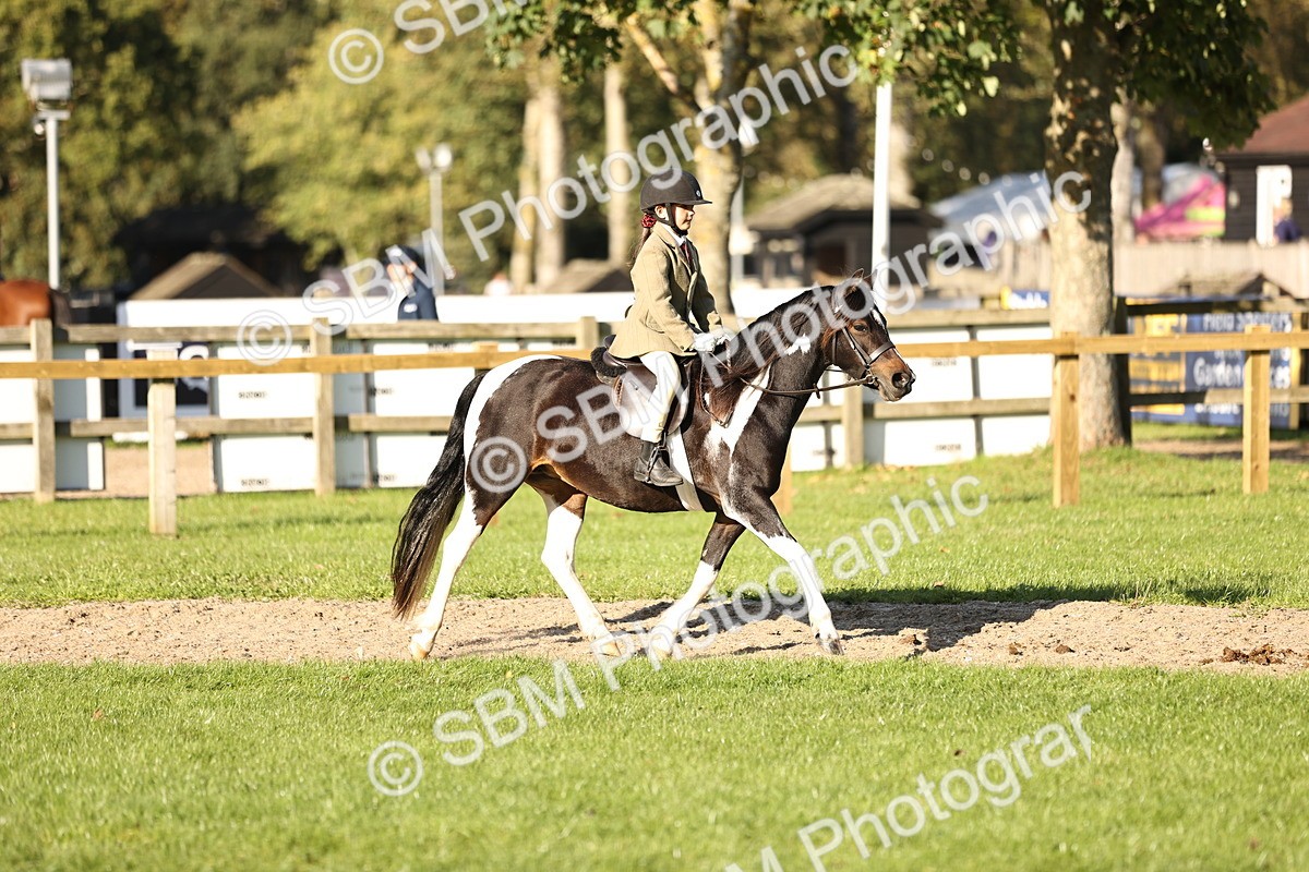 SBM_29417 - S7 - Novice & Newcomers Ridden Pony