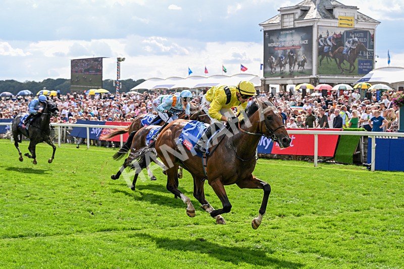 220826-Race 2-Infraad-9791 - Race 2 14.25pm Sky Bet Melrose Handicap
