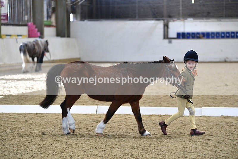 WJ5_3773 - Class 5 In Hand Veterans