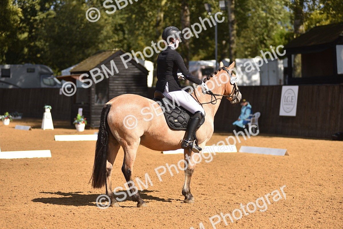 SBM_19951 - D4 - Small Tour Championship Intro 4