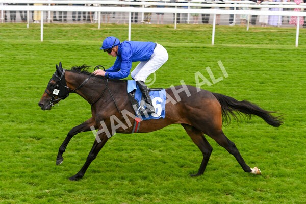 yr10062022r4-15 - Race 4 3.30pm Seat Unique Ganton Stakes