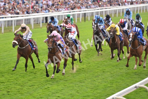 yr19082022r1-30 - Race 1 1.50pm Sky Bet Stakes