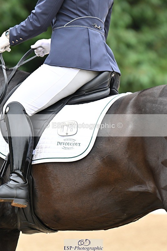 240811-115659-05306 - 118-Katie.Kneen-Springtime.Evergreen