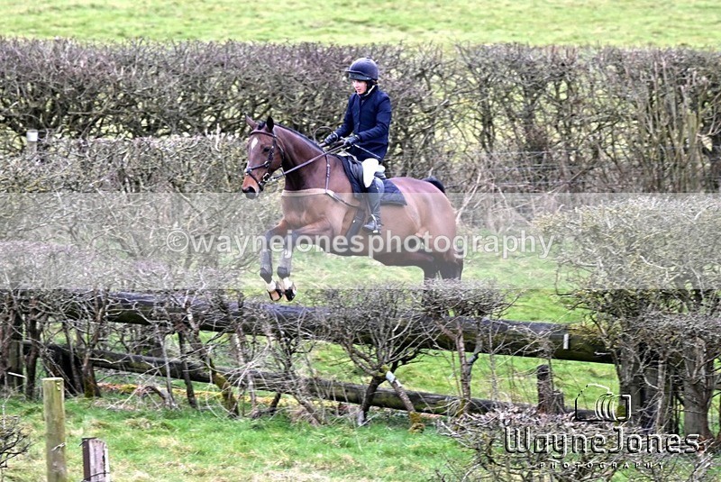 WJ6_7542 - Edited examples