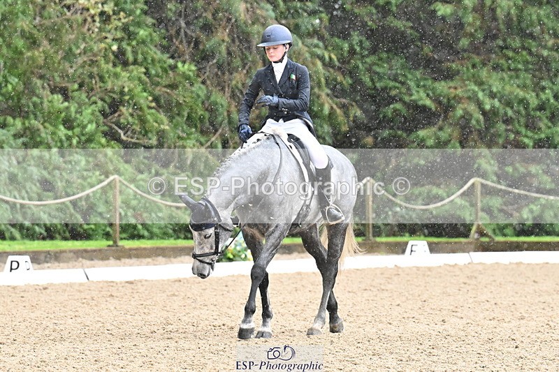 251023A-121932-01893 - C-234-Ava.Dowley