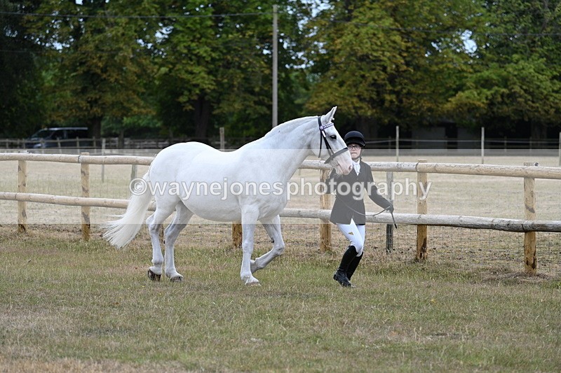 WJ7_8863 - Class 4a Prettiest Mare 14.2hh and over