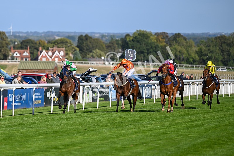 230925-Race 4-Elegant Erin-0637 - Race 4