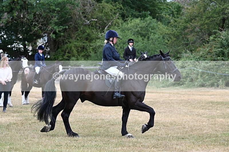 WJ7_1171 - Class 3 Family Mount