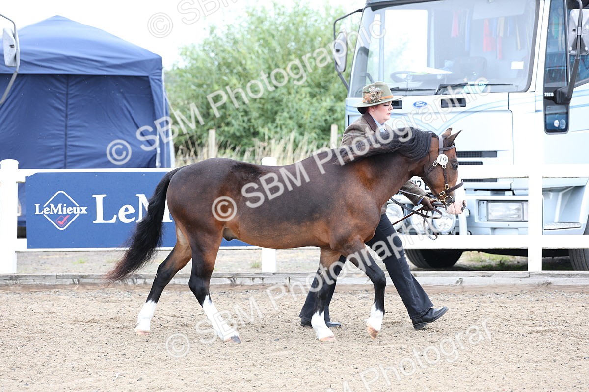 SBM_00003 - Class 50 - Best Turned Out IH