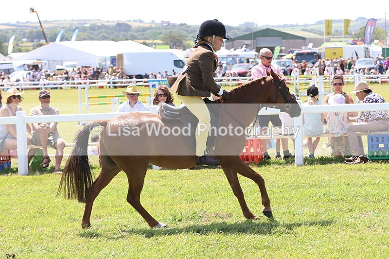 JPP_2359 - Class 20: Tiny Tots Working Hunter Pony