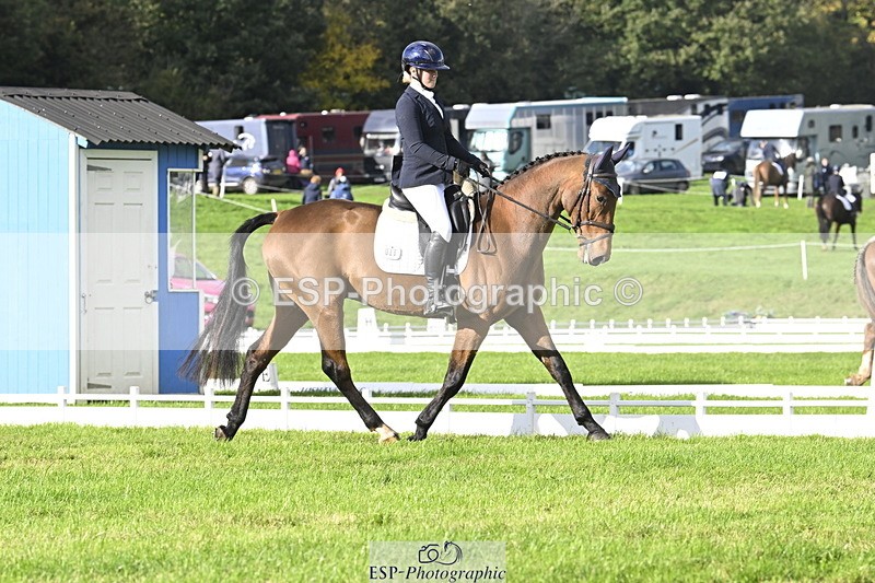 251023A-150741-04509 - E-386-Zara.Head