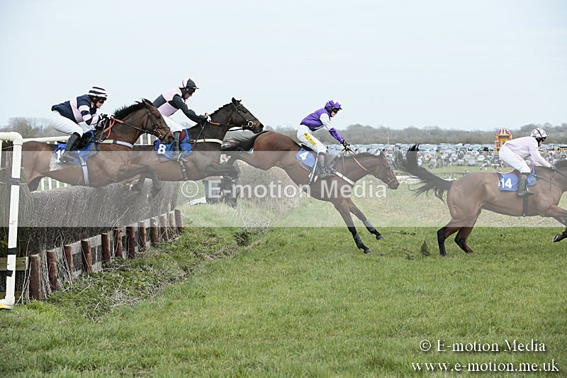 PtP 230319 192 - VWH Hunt Siddington Point-to-Point Racing 23/03/19